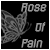 Rose of Pain