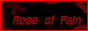 Rose of Pain